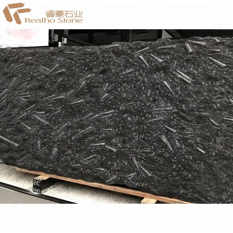 High Quality Natural Black Granite Polished Underwater World Fossil Stone Granite for Wall Cladding