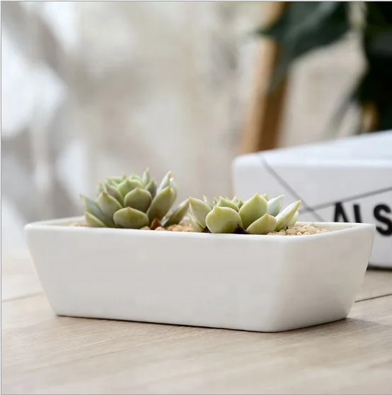 White minimalist creative gardening fake flower resin ceramic small flower pot