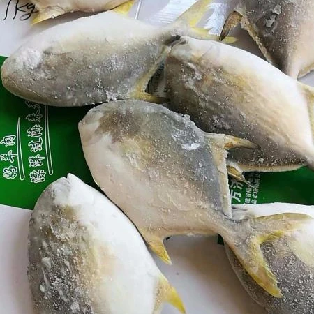 Золотой помлад замороженный