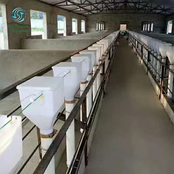 High quality Semi-auto feeder for pig feeding system