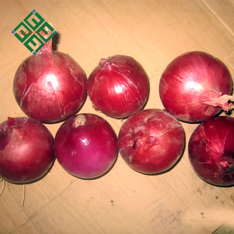 Chinese hot sale real fresh onion