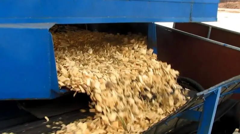 Hotsale wood chip selecting machine in China