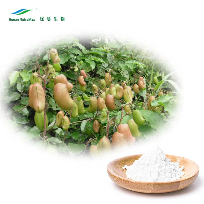 Hot Sell Plant Extract Griffonia Simplicifolia 5-HTP 98%