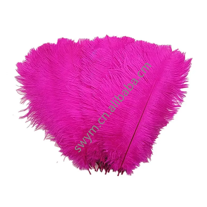 Wholesale Factory Price 24-26in/60-65cm Baby Pink Ostrich Plume Dyed Pattern Feathers for Carnival Costumes