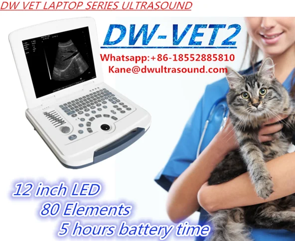 DW-VET2 портативная, полностью цифровая, ветеринарная ультразвуковая диагностическая система veterinary portable pig ultrasound