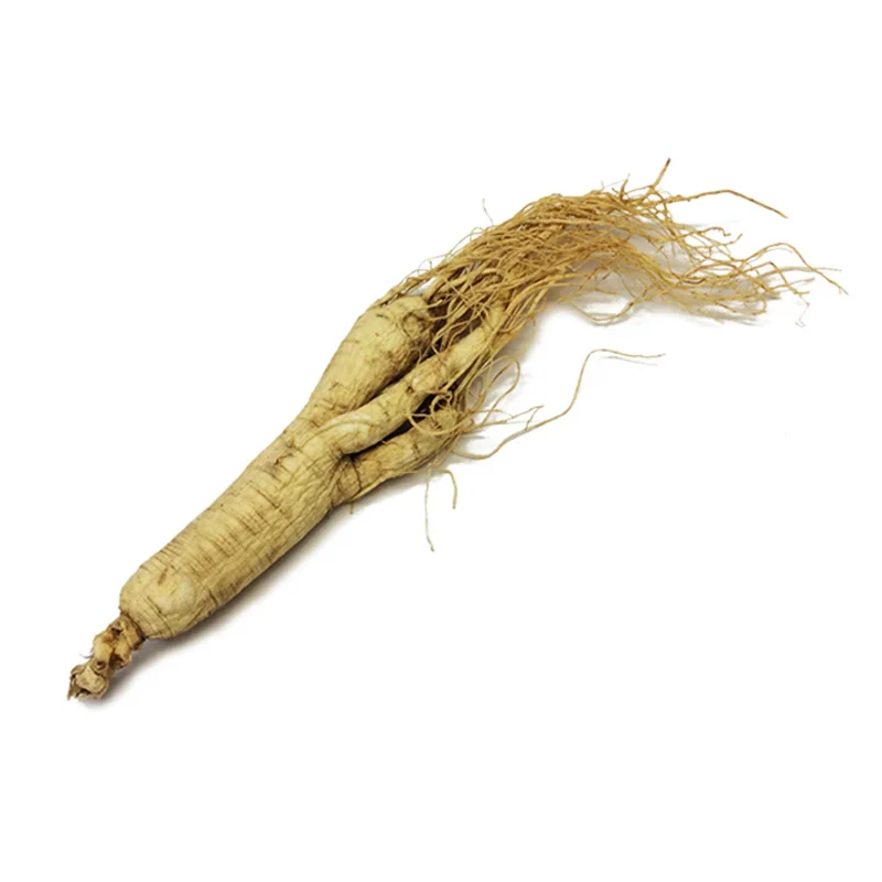 China Changbai Mountain Sun cured ginseng dry RADIX GINSENG