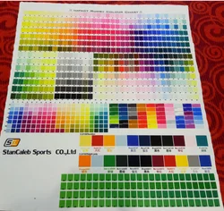 Stan Caleb Boardshorts Swim Bermudas Trunks patten beach Shorts Quick Dry surf mens shorts custom wholesale boardshorts