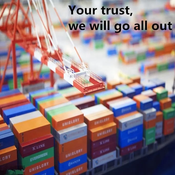 economical ocean freight from china to Brazil FCL freight forwarder