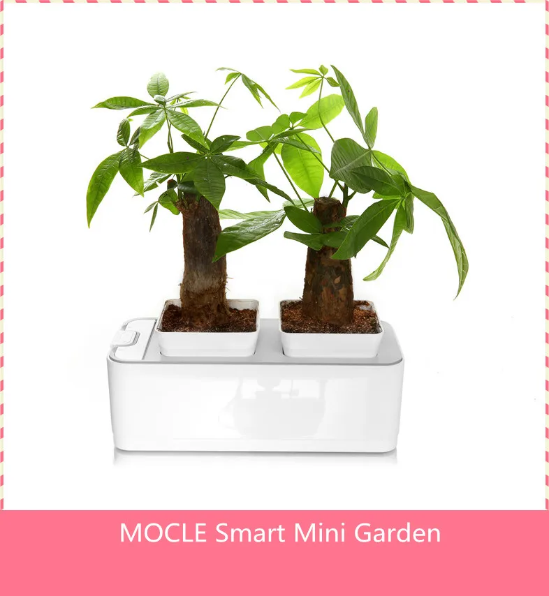 горячие продажи современный легкий посадка кухня ваниль горшок