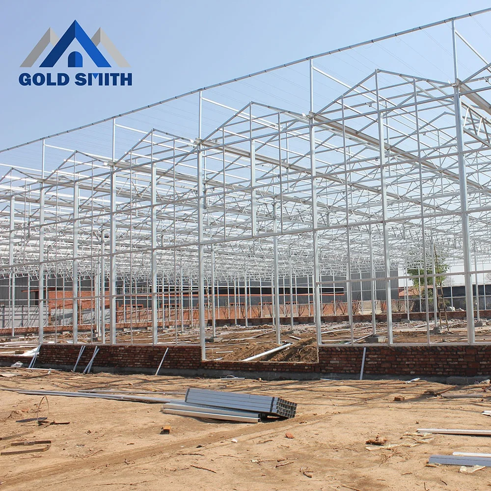 Customized Venlo Type Steel Tube Agriculture Greenhouse with Cooling Equipment