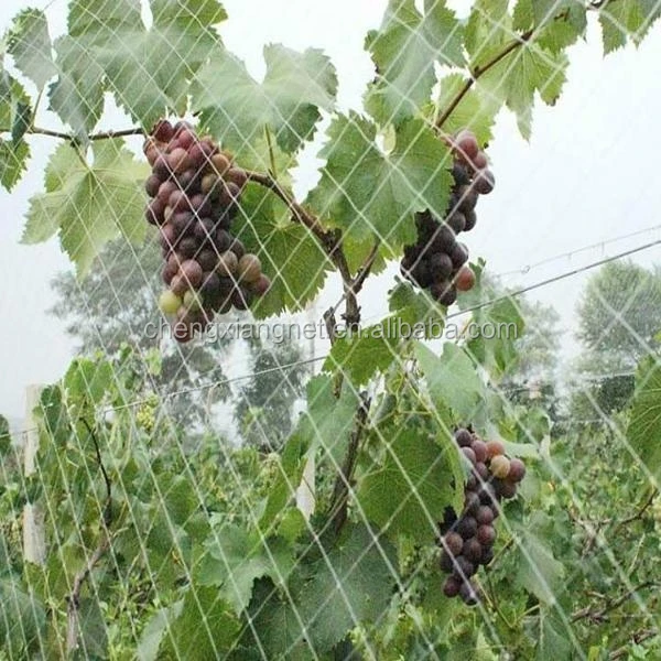 
 Оптовая продажа, Полиэтиленовая пластиковая сетка для птиц/сетка для захвата птиц/пластиковая сетка для защиты деревьев  