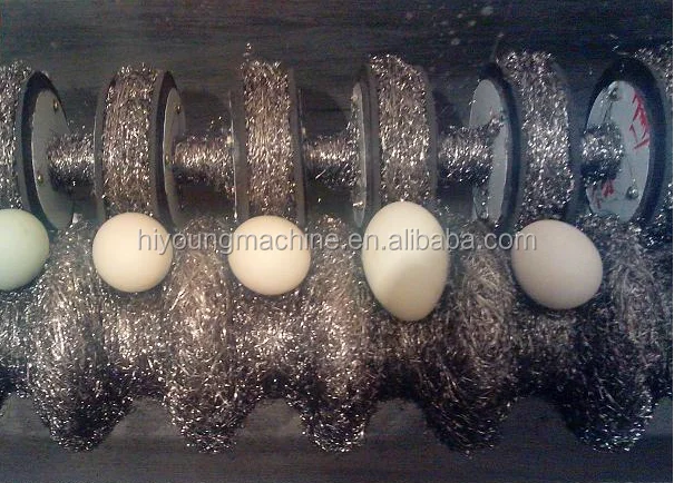 Самый популярный!! Автоматическая шайба для яиц с кисточкой