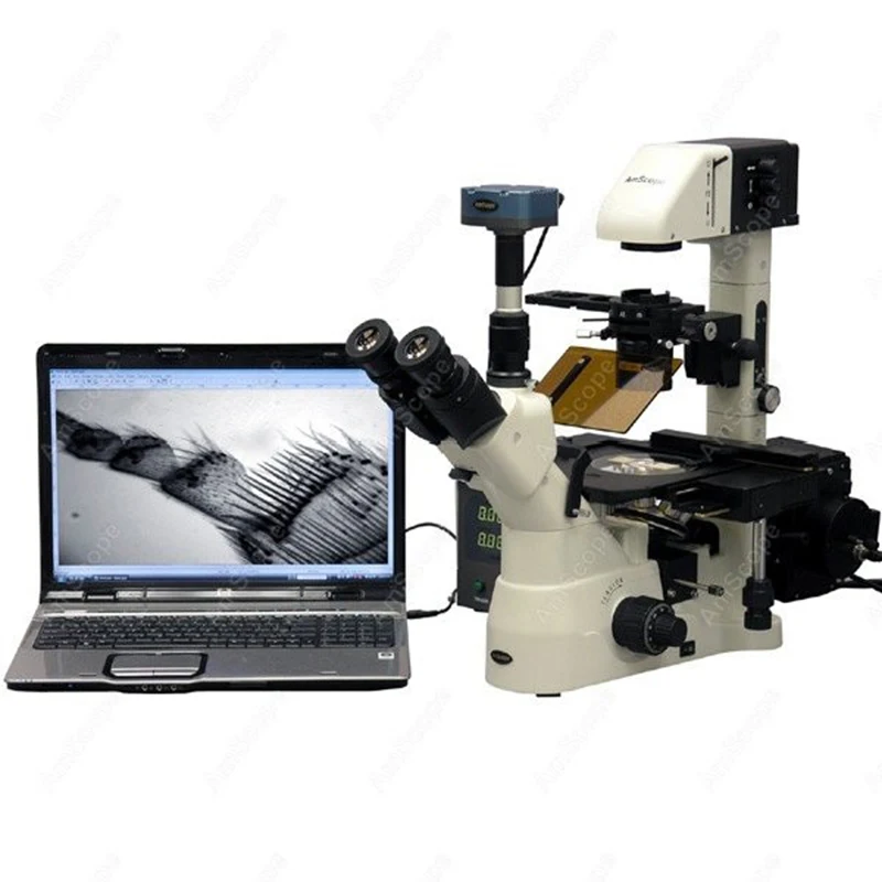 
AmScope Supplies 1500X Phase Contrast Inverted Fluorescence Microscope + 1.4MP B/W Cam 
