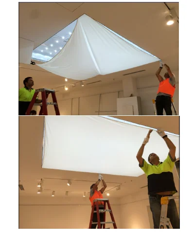 
LED Lattice Backlight Strips for Sign Box Lighting Whose Depth is 35mm~120mm 10 Year Warranty Powered by Nichia757 SMD LED CE 