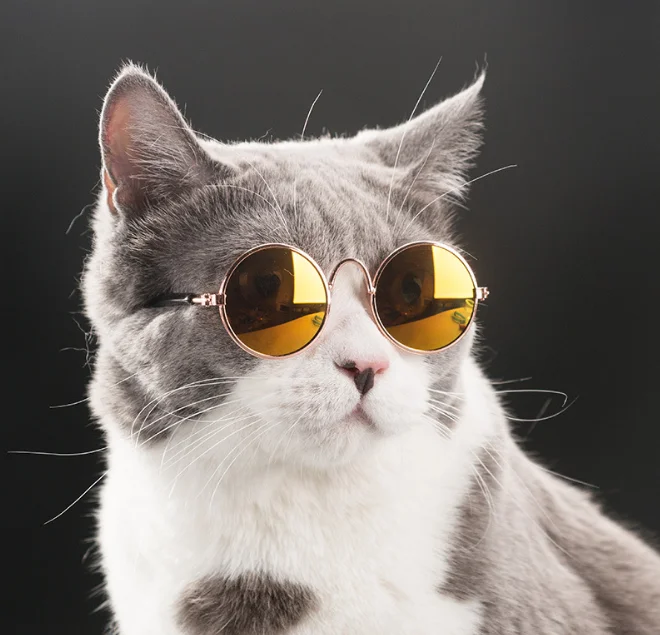 
2018 fashion cute Accessories protection pets cat sunglasses shades goggles 