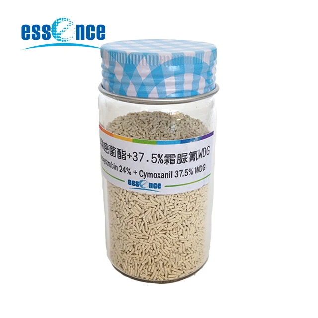 
Fungicide Azoxystrobin 24% + Cymoxanil 37.5% WDG 