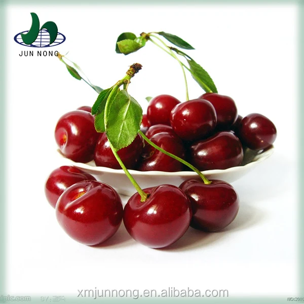 New arrival organic fresh canned red cherry