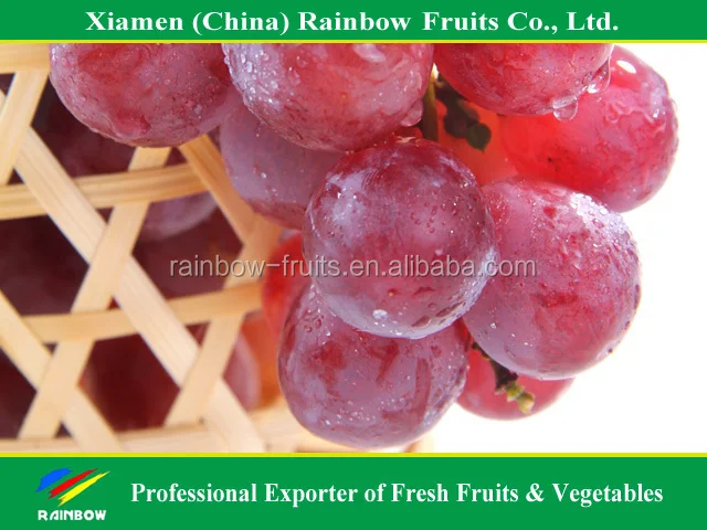 
Fresh grapes china with top quality 