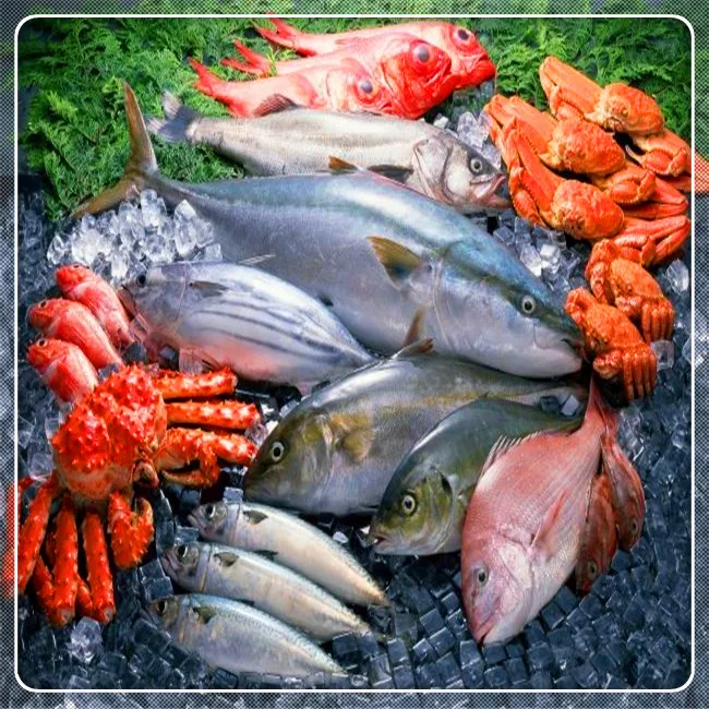 Aquaculture probiotic for shrimp and fish