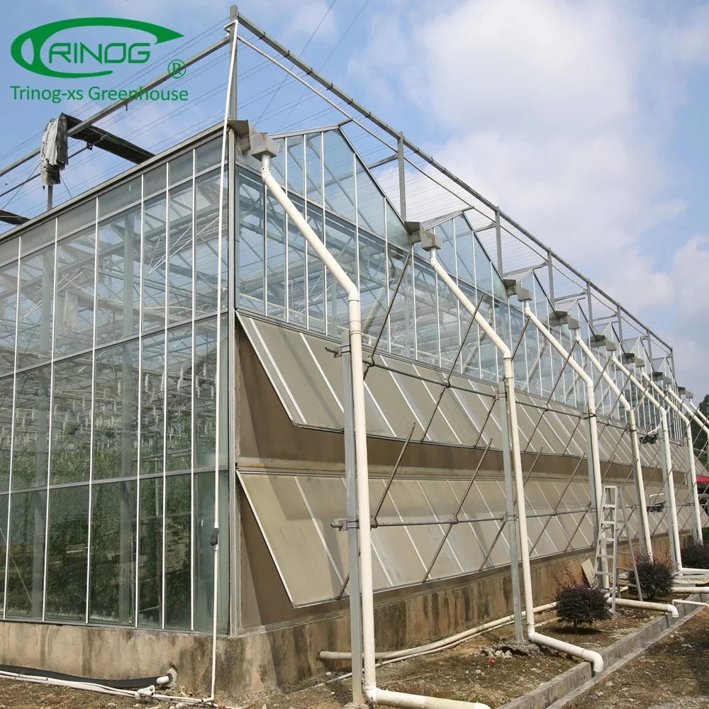 Venlo aluminium glass greenhouse framegreenhouse agriculture hydroponic for farm