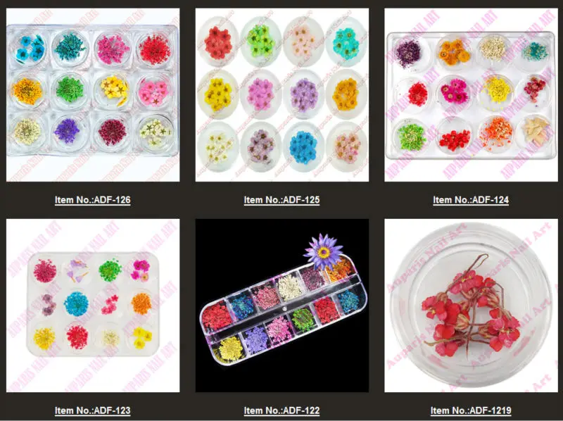 wholesale ADF8220# Dried Flowers Dry Acrylic Nail Art Decorations Design ADF-102