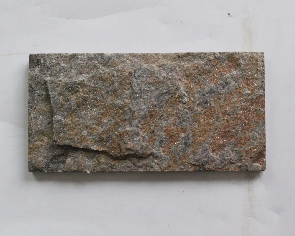 Природные культуры стены плитки камень с грибами