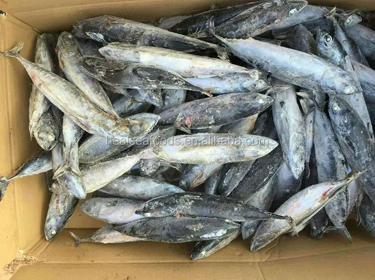 150-200 г, замороженный тунец, Халяль, Бонито, хлопья