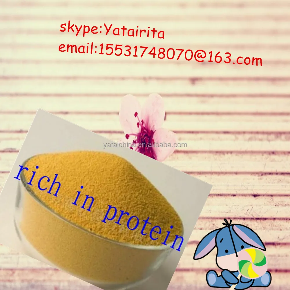 Hot Sale dry yeast powder dry yeast for animal feed(A)