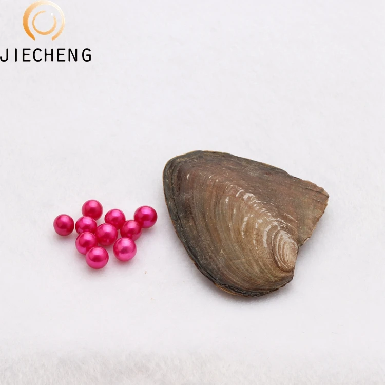 2018 оптовая продажа устричный жемчуг 7-8 мм Пресноводный Жемчуг