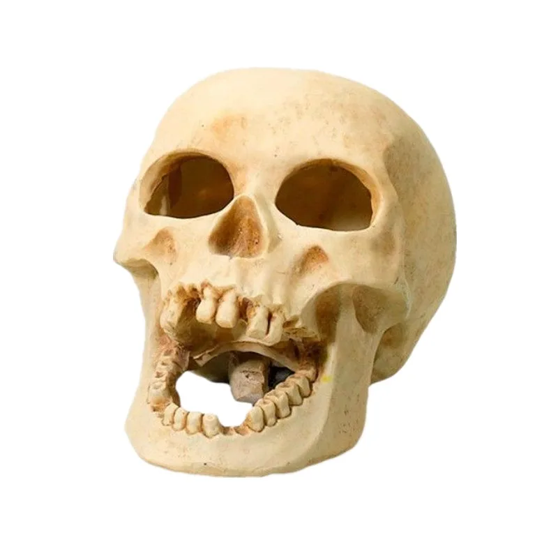 Каучуковые черепа для рукоделия