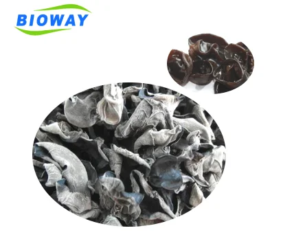 
 Лидер продаж 2018, органический черный агарический гриб  