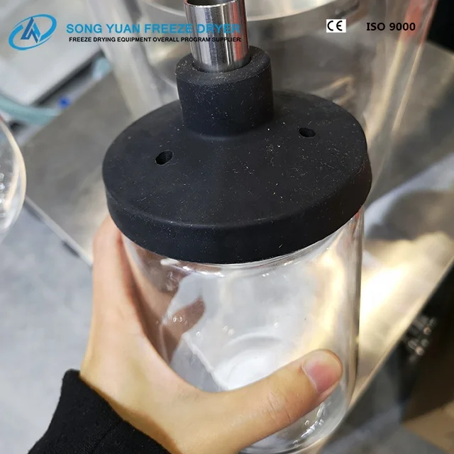 
small mini lab freeze dryer with low price China Vacuum lyophilizer LGJ-18C for fruit vegetables 