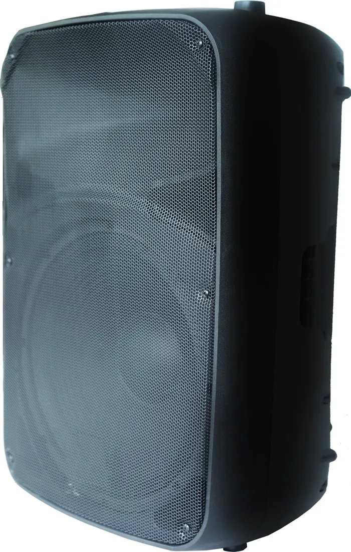 Class D Amplifier Module Active PA Speaker Sound System Wireless Speaker