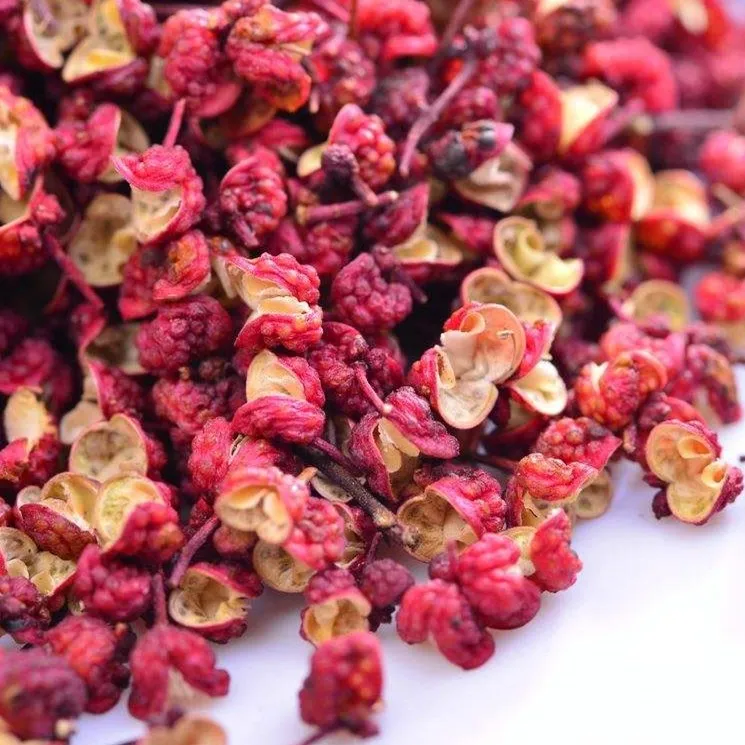 
Good price wholesale China origin food spice Chinese prickly ash 