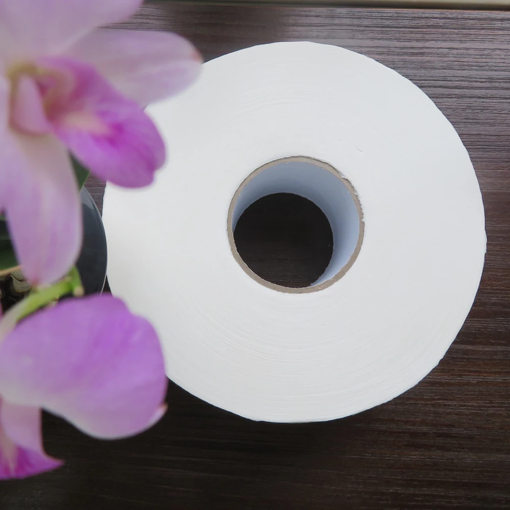 Toilet Paper in Roll