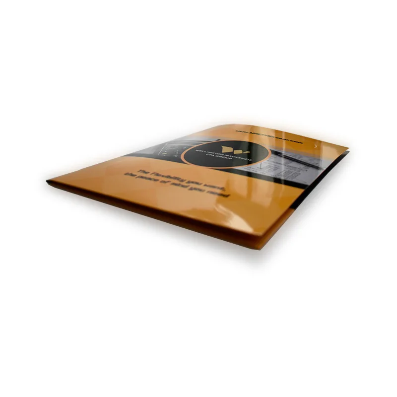 
Zuoluo Office Custom A4 Paper File Folder for Company with Two Pockets 