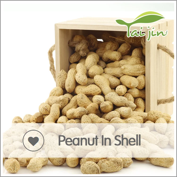 Raw import peanut in shell