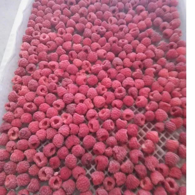 
new season good quality good price Frozen Raspberry whole IQF Raspberry whole Individual Quick Frozen Raspberry 