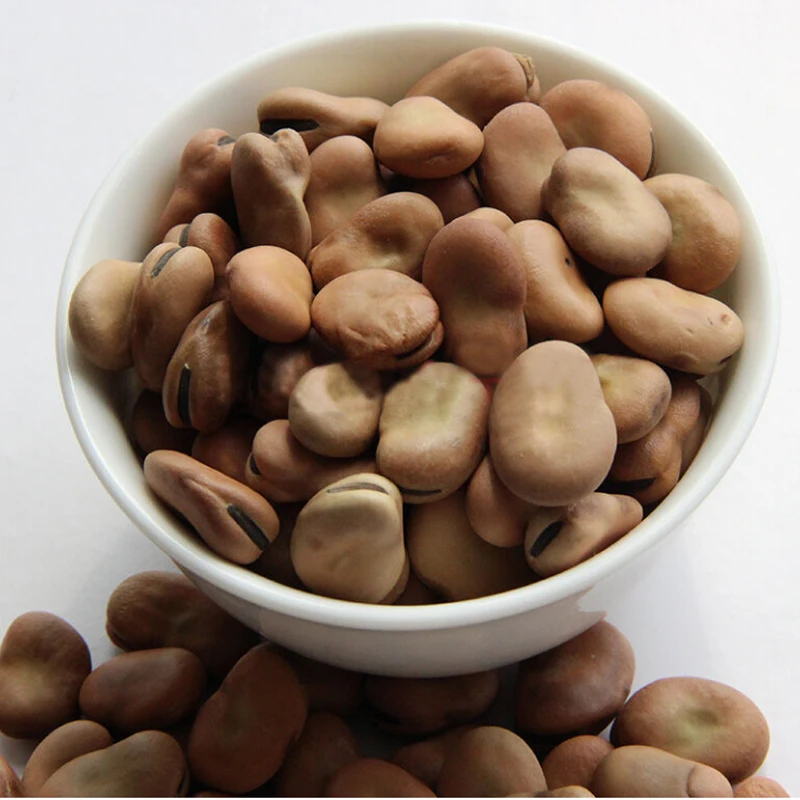 
Bulk dry fava beans 