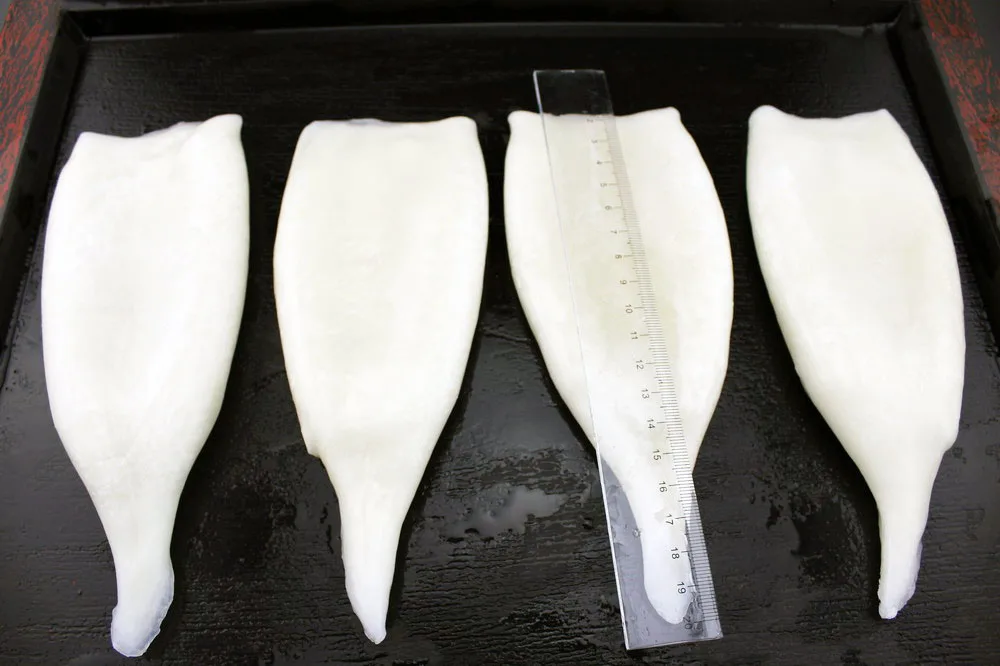 
Frozen Seafood Squid tube U10 Todarodes Pacificus 