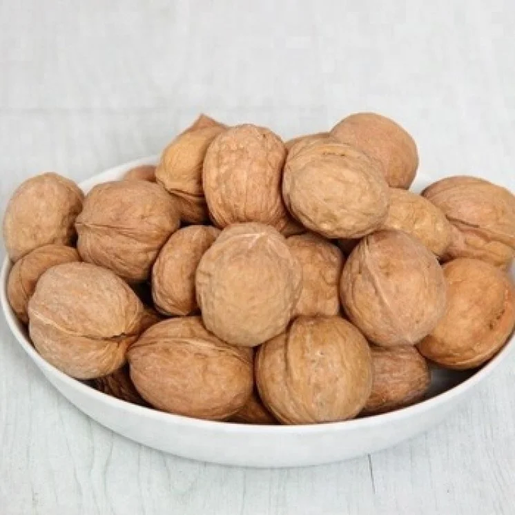 south africa top quality whole dry fruit walnut with Shell and shelled for sale 21crop raw walnut kernels extra light walnut