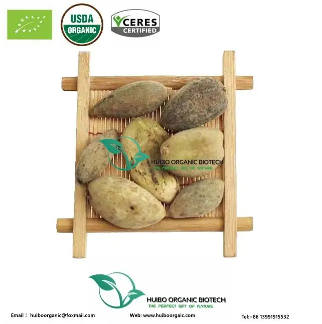 Dried Gallnut / gall extract gallic acid / Tannic acid