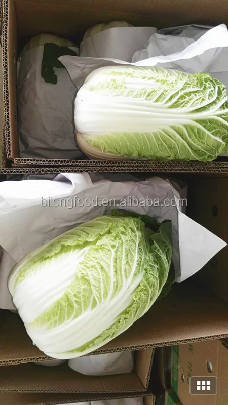 
2021 GAP wholesale fresh chinese long cabbage new crop high quality export to MALAYSIA CANADA UAE SINGAPORE 