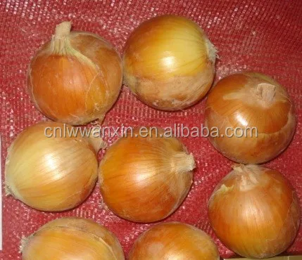 
Good quality yellow onion supplier 