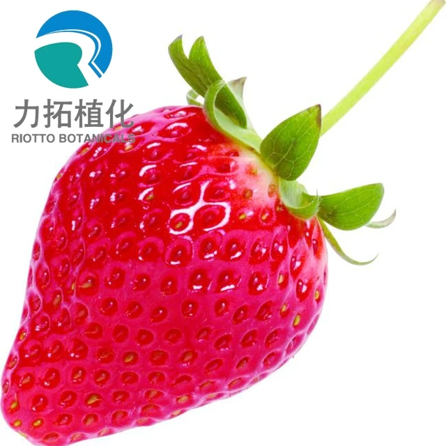 
Completely Soluble fresh Strawberry powder 
