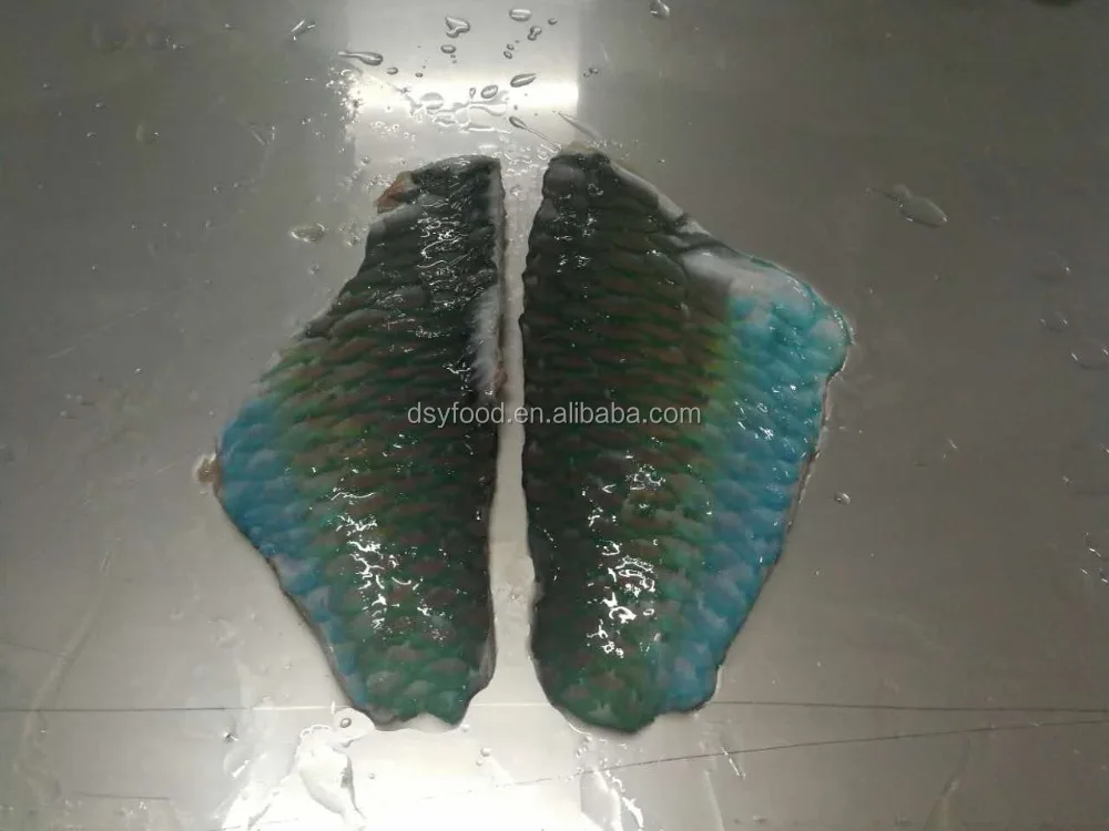 Frozen Parrot Fish Fillet Indonesia