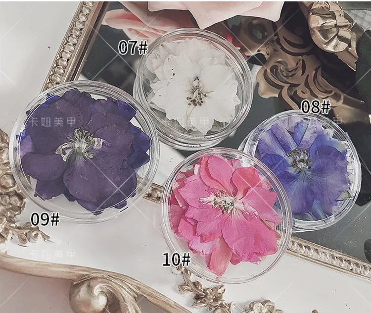 Manicure Ultra-thin Natural Dried Flowers Japanese Summer Cherry Blossom Dry Flowers For Nail Art