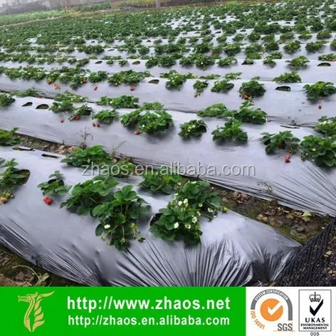 
thin plastic sheet roll | 100% new plastic sheet | biodegradable plastic sheet 