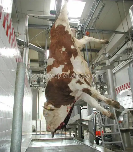 Halal оборудование для забоя крупного рогатого скота