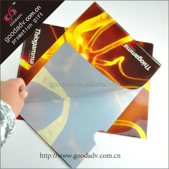 Plastic file folder/pp folder file